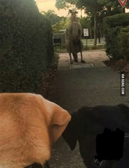 17373030111433.jpeg