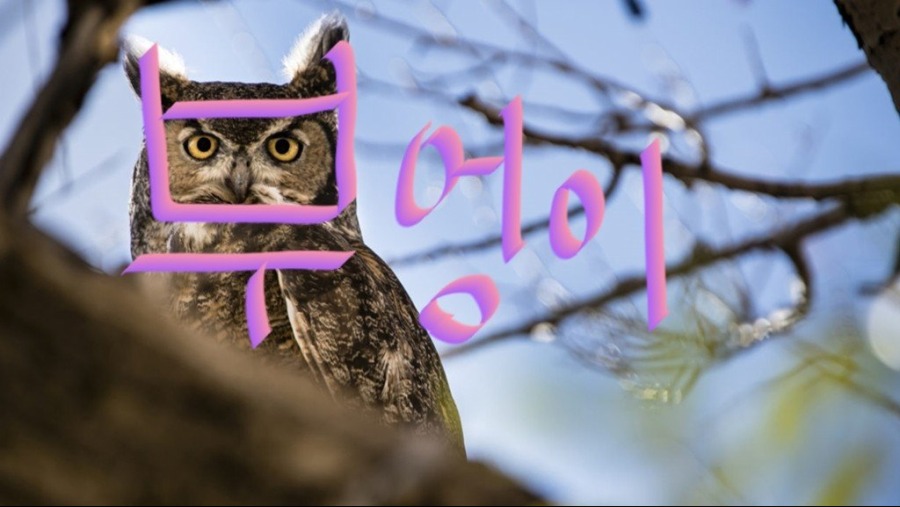 17373053010077.jpeg