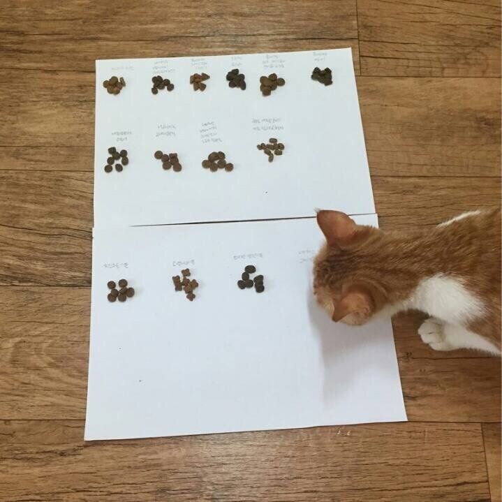 17373081116487.jpeg
