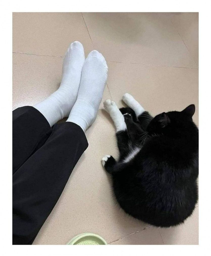 17373458644713.jpeg