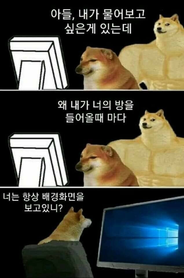 17373483127639.jpeg