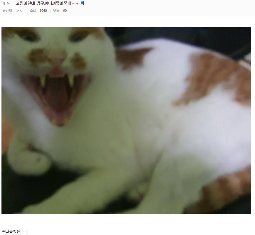 17373488333775.png