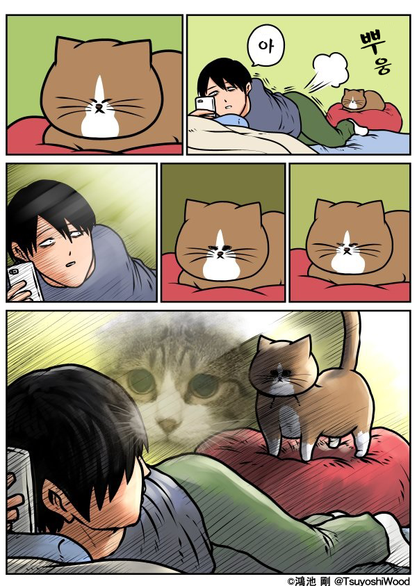 17373488335169.png