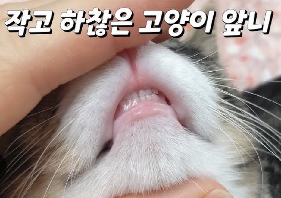 17373489787845.jpeg
