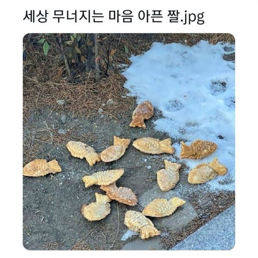 17373509440244.jpeg