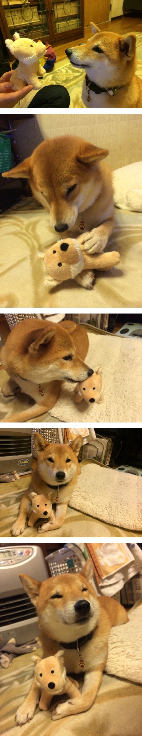 17373510847375.jpeg
