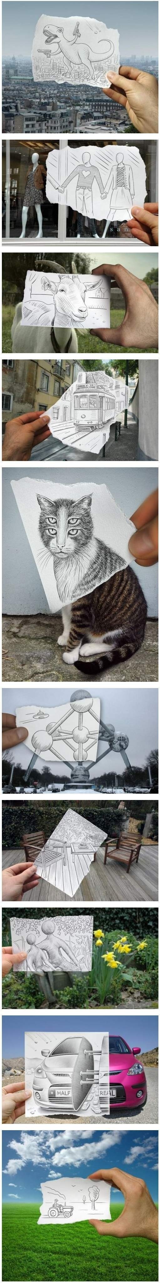 17373524345268.jpeg