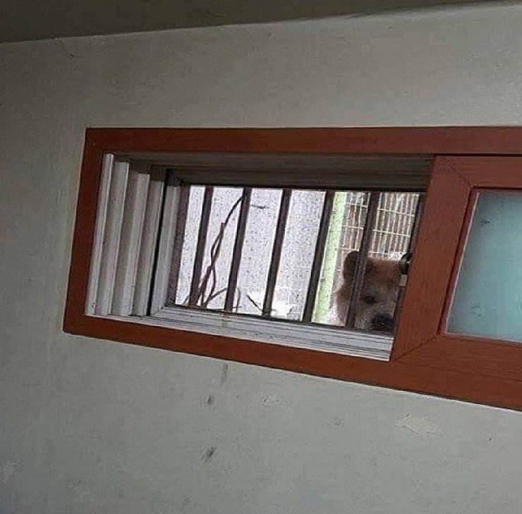 17373544838817.jpeg