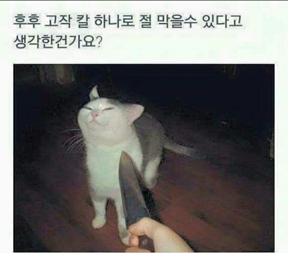 17373553048746.jpeg