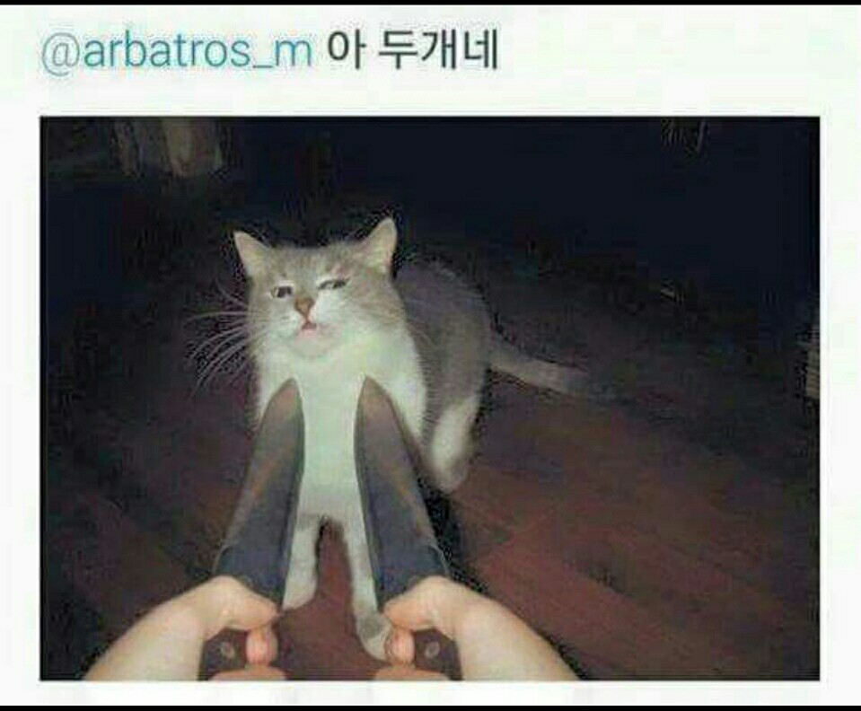 1737355304932.jpeg