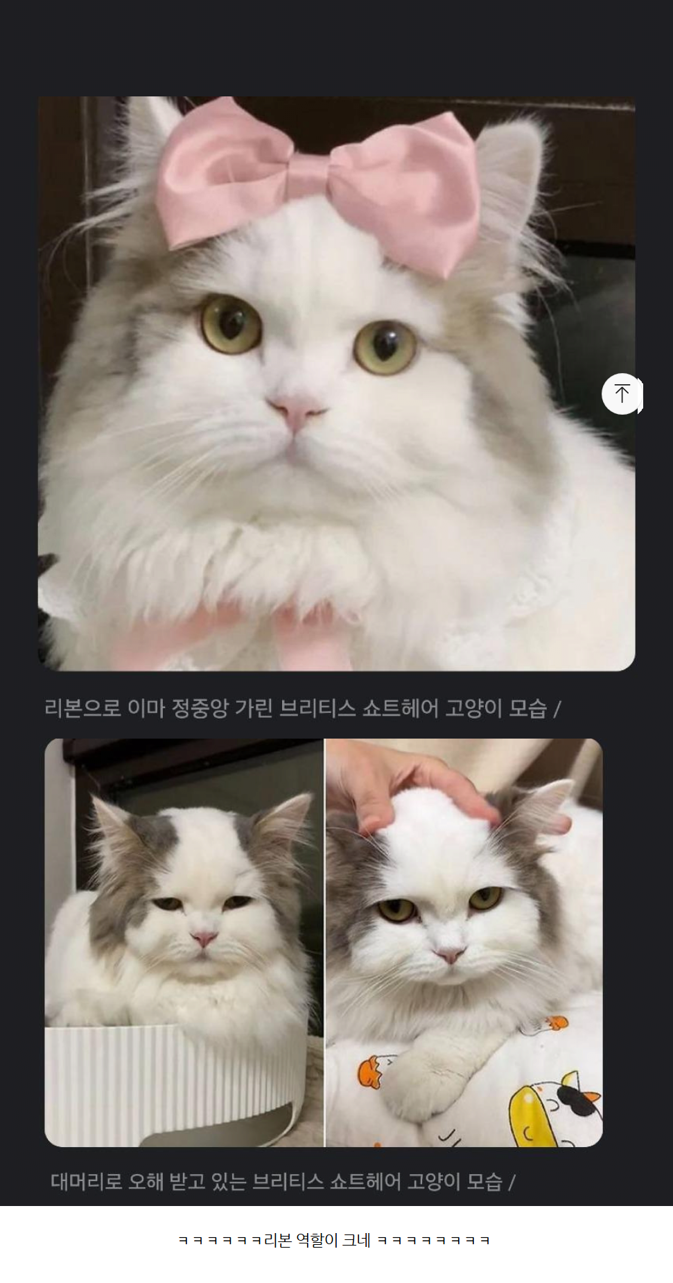 17373556942127.png