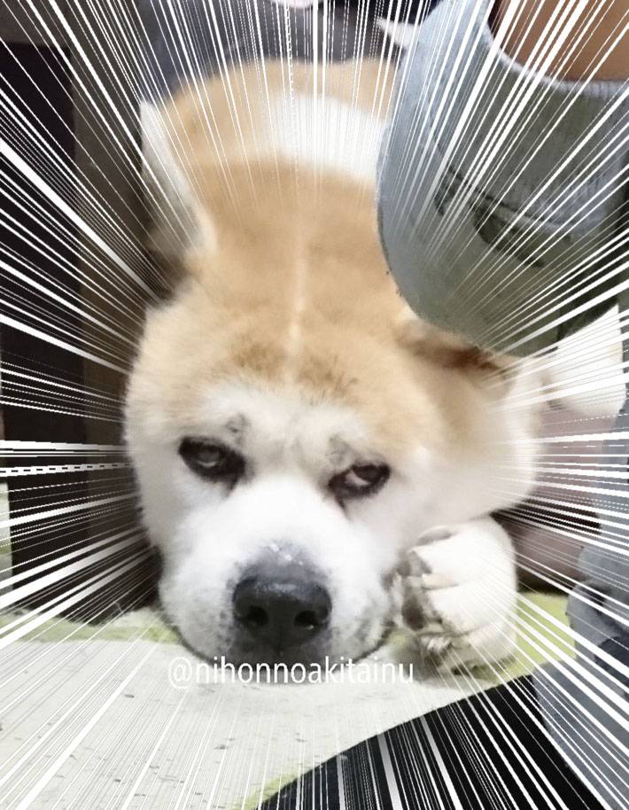 17373871074163.jpeg