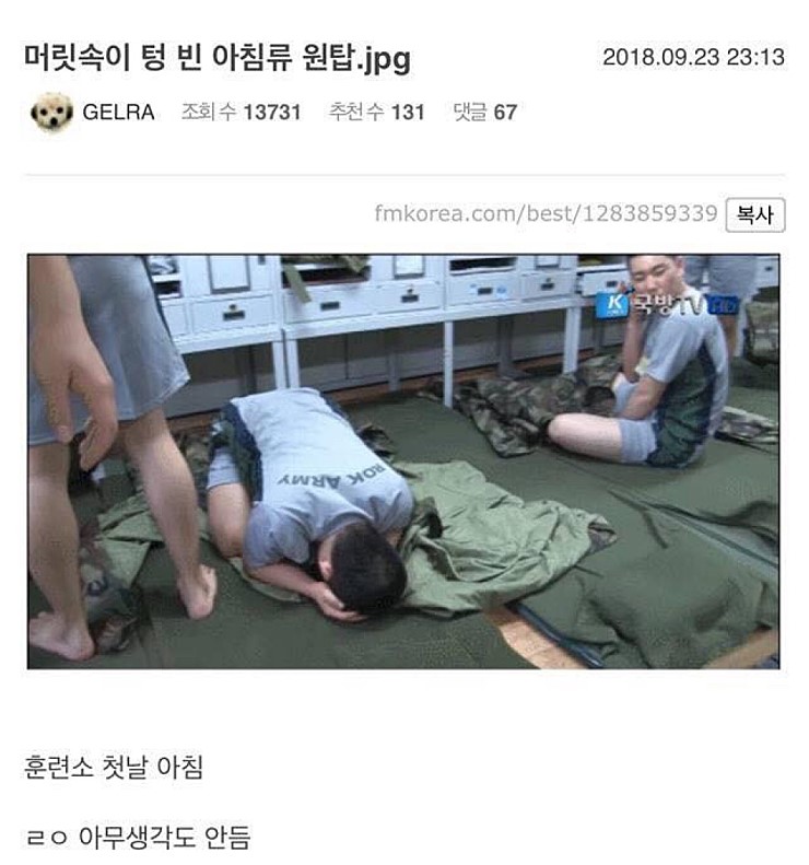 17373905285761.jpeg