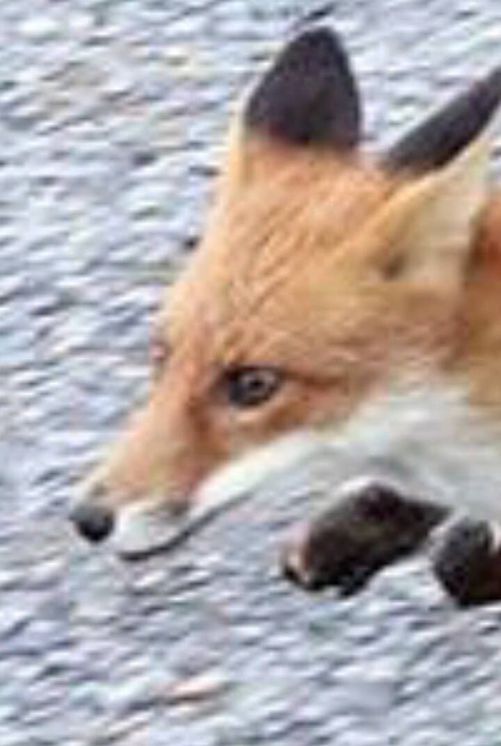 17373912287098.jpeg