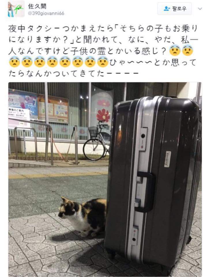 17373925696092.jpeg