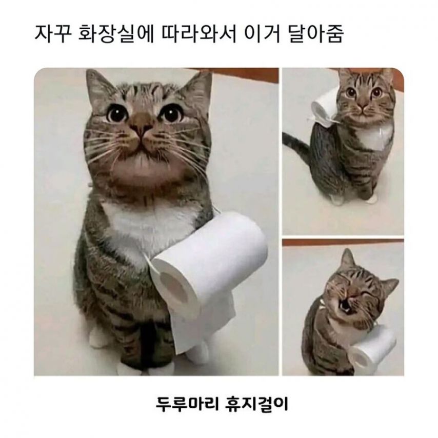17374315791871.jpeg