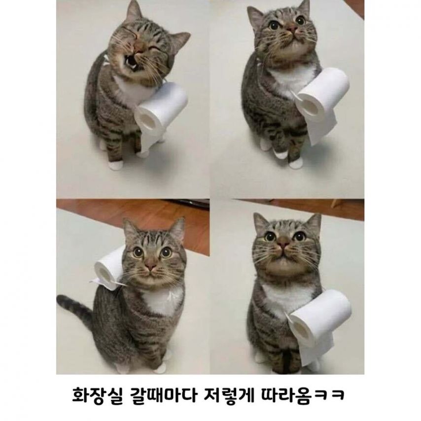 17374315793918.jpeg