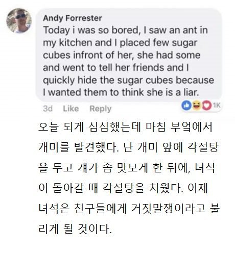 17374321510276.jpeg