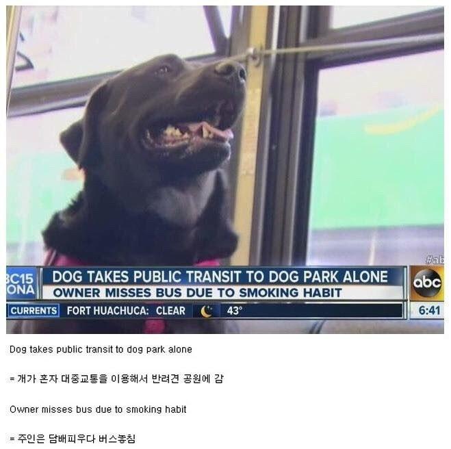 1737438805936.jpeg