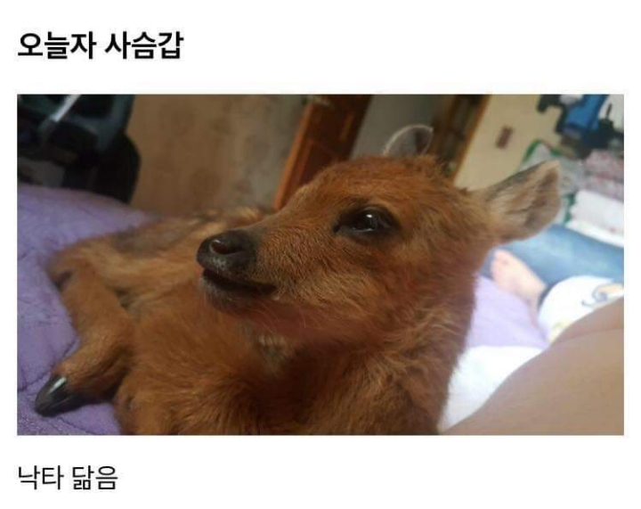 17374390666589.jpeg