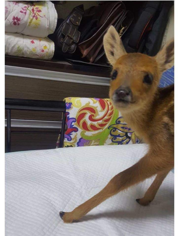 17374390667607.jpeg