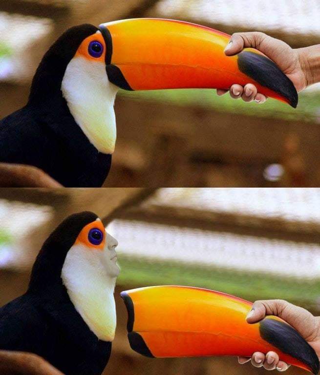 1737439375594.jpeg