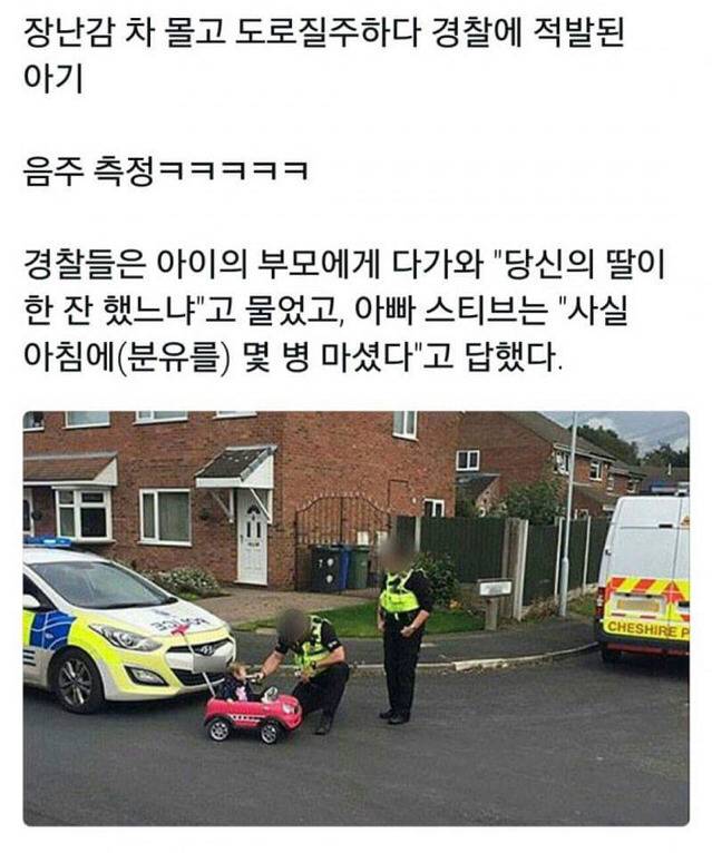 17374733448059.jpeg