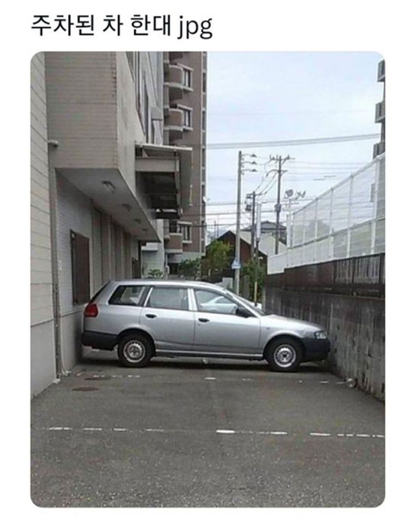 17374737101736.jpeg