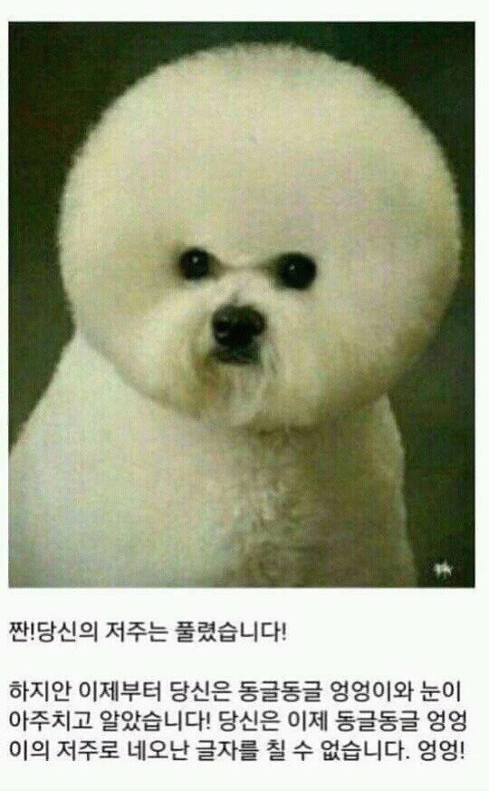 17374742546349.jpeg