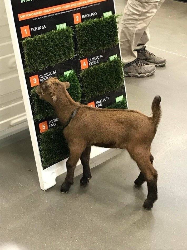 17374773323261.jpeg