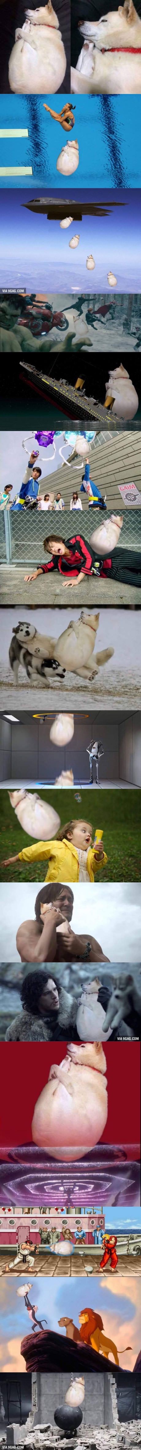 17375194471307.jpeg