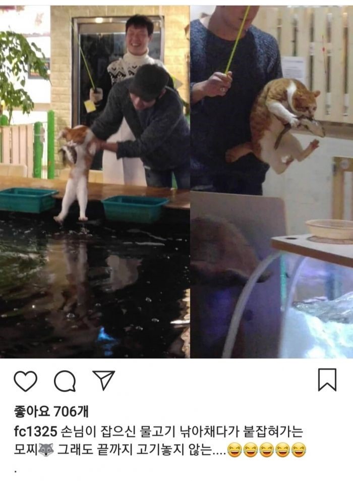 17375200849698.jpeg
