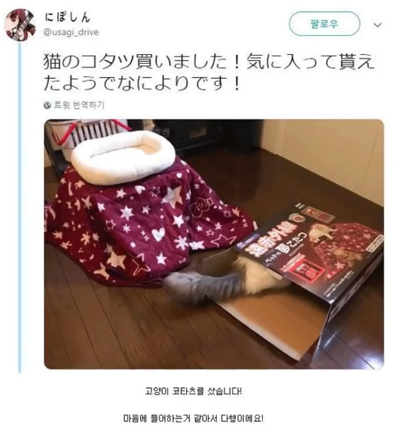 17375277905163.png