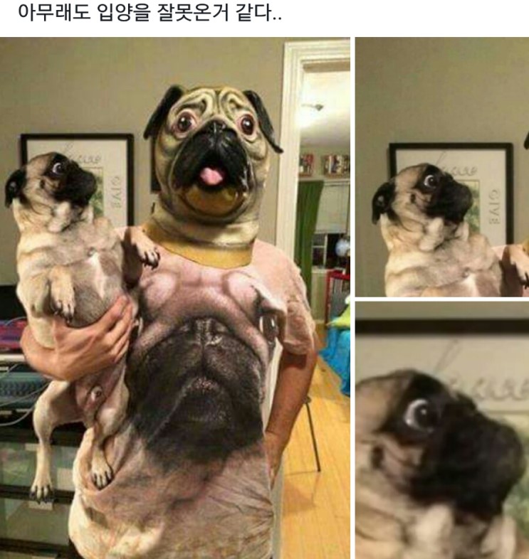 17375291907007.jpeg