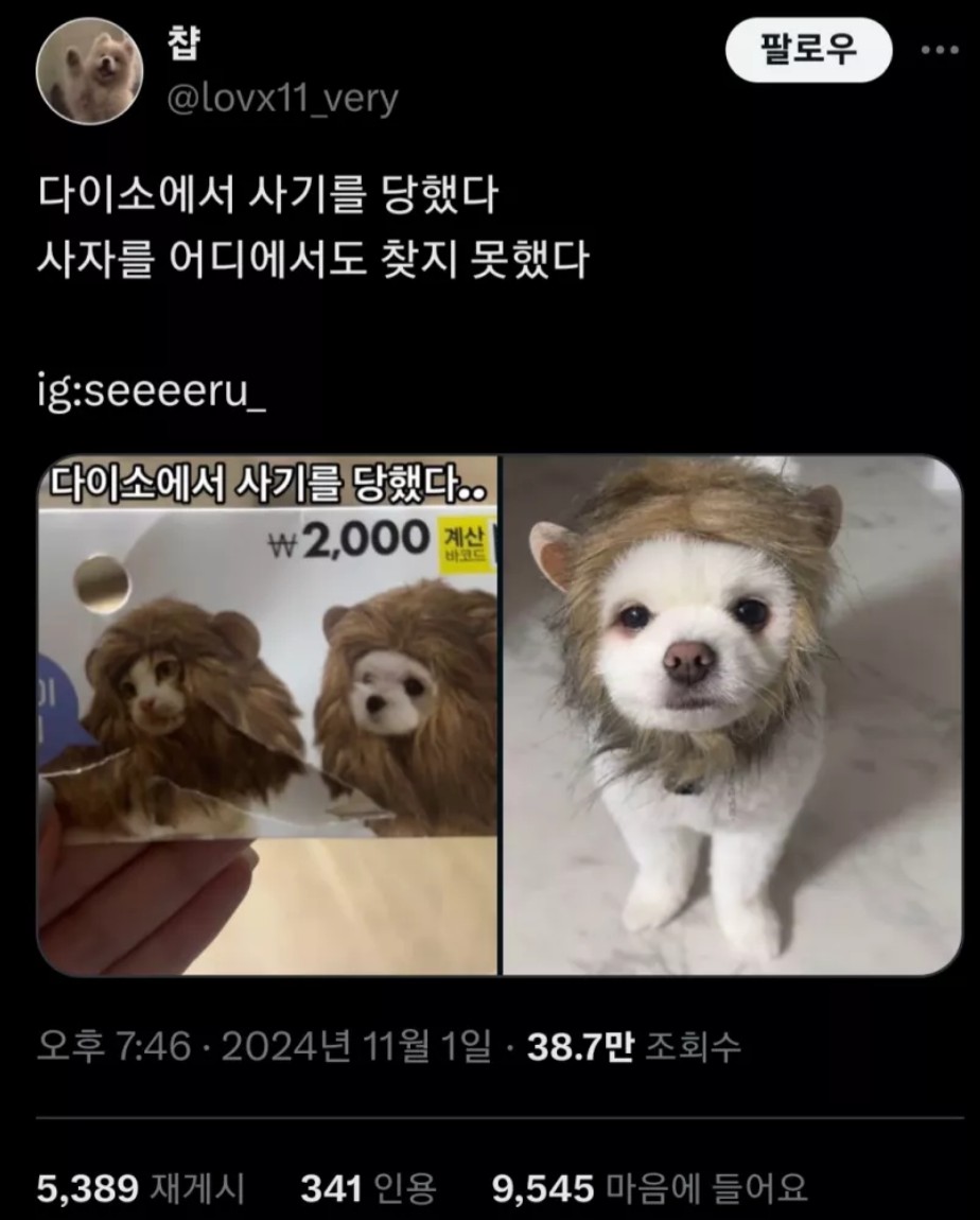 17375613714402.jpeg