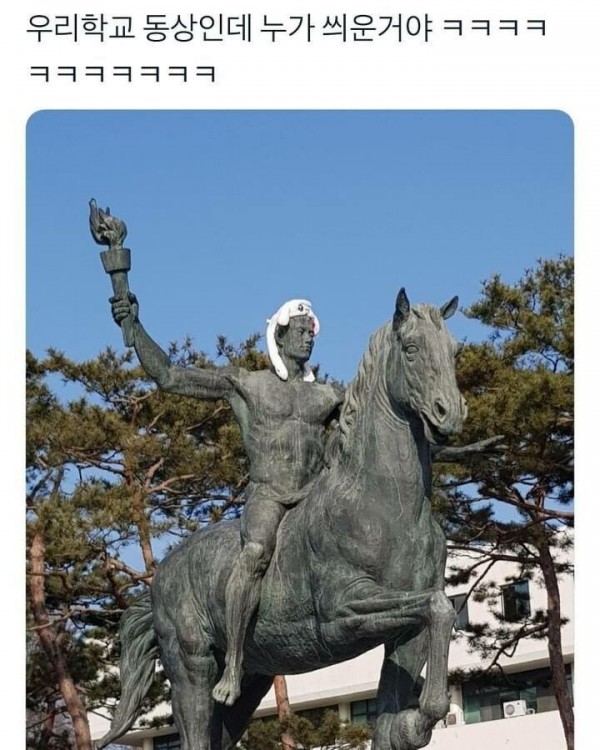 17375636067074.jpeg