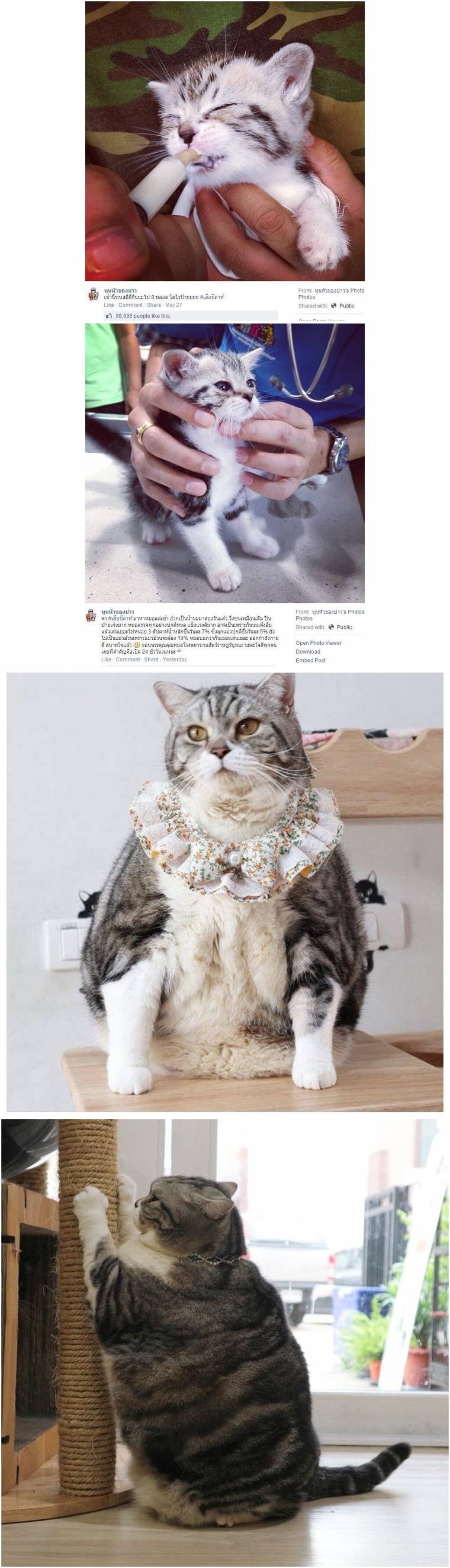 17375637133871.jpeg