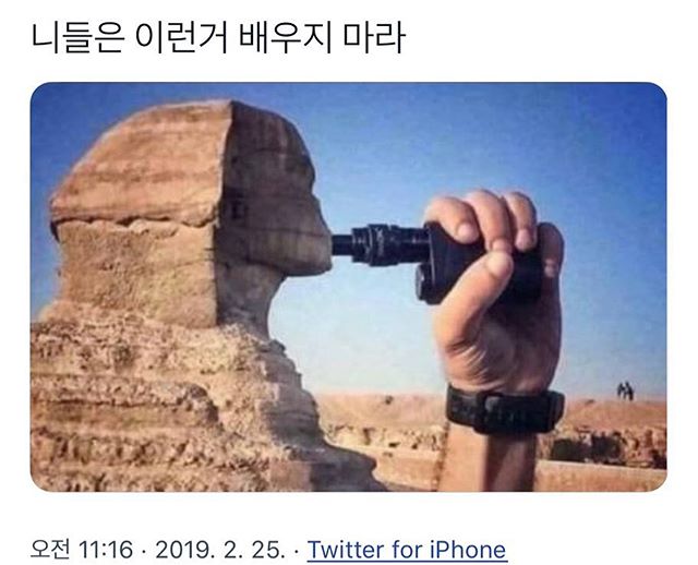 17375652586364.jpeg
