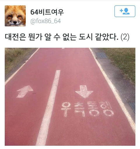 17375664077711.jpeg