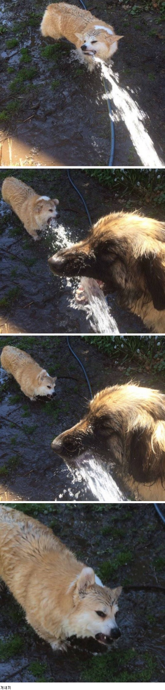 17375664106194.jpeg