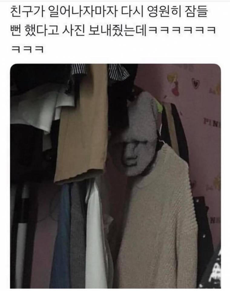 17375675368814.jpeg