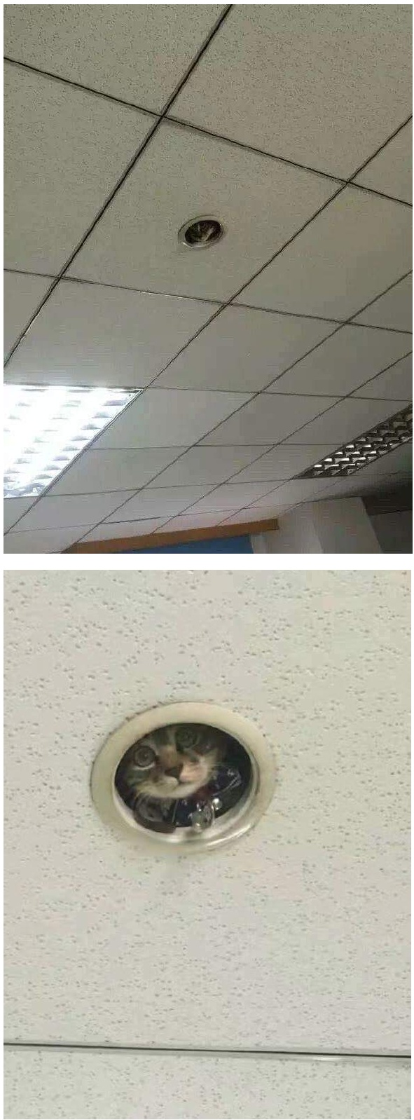 17375685218635.jpeg
