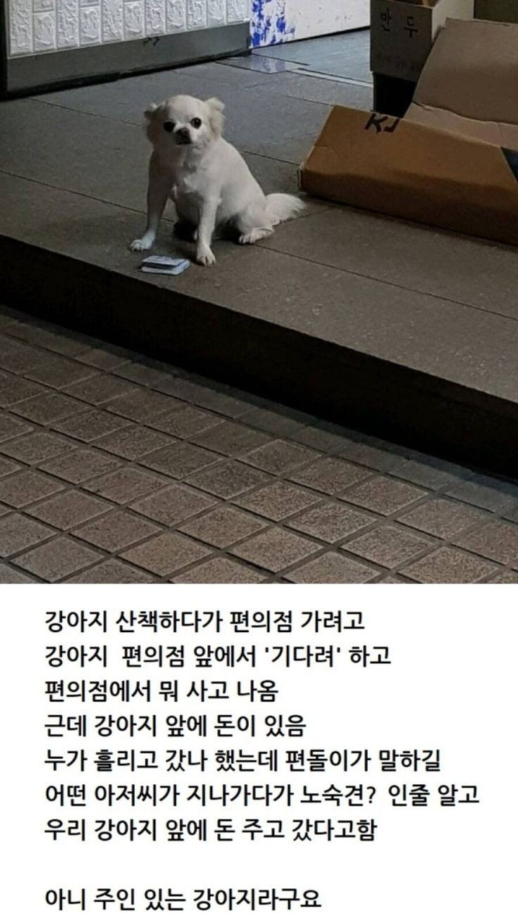 17376082611193.jpeg