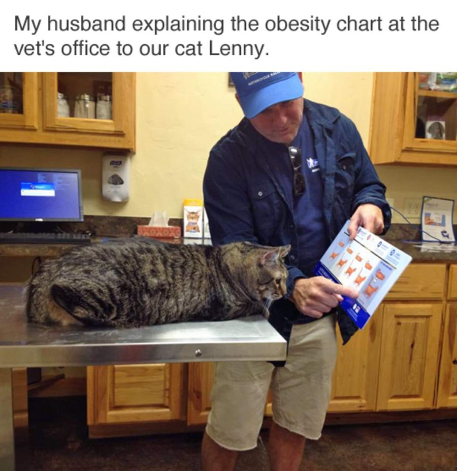 17376087614258.jpeg