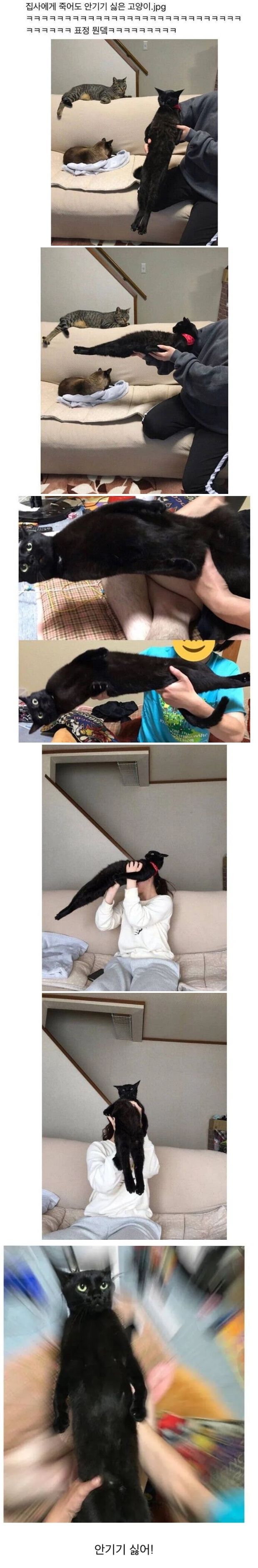 17376095800992.jpeg