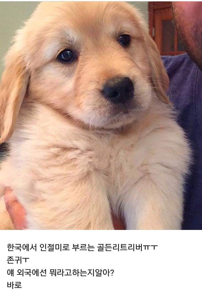 1737610134904.jpeg