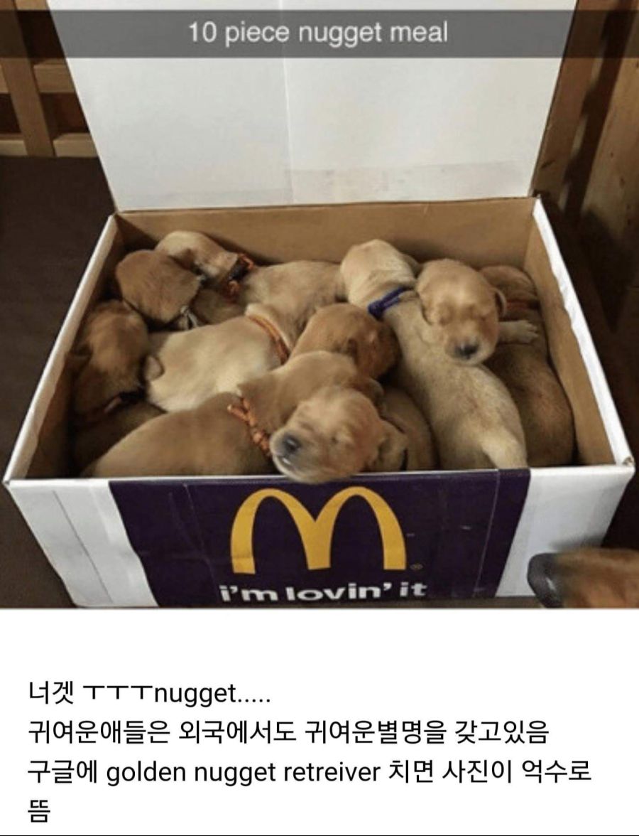 17376101349936.jpeg