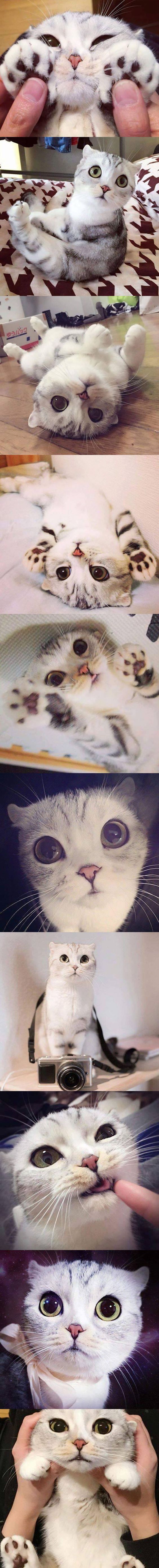 17376104562908.jpeg