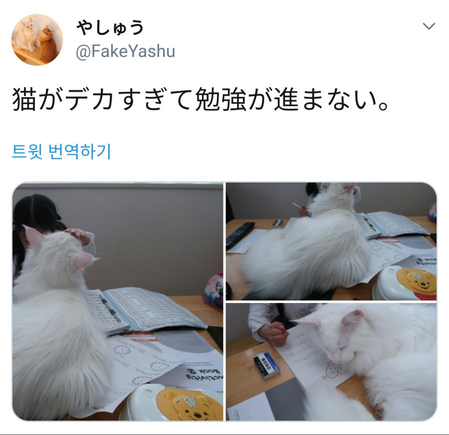 17376105449581.jpeg