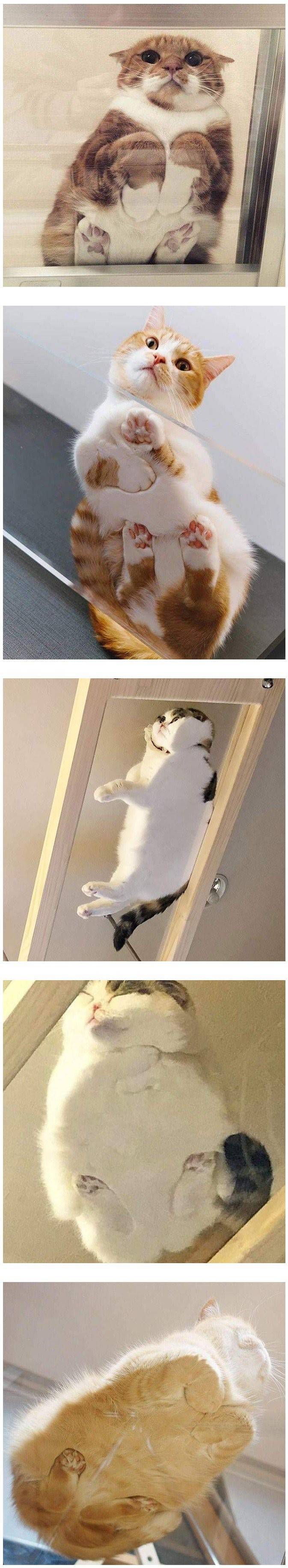 17376107229778.jpeg